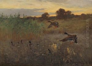 Wildenten In Moorlandschaft