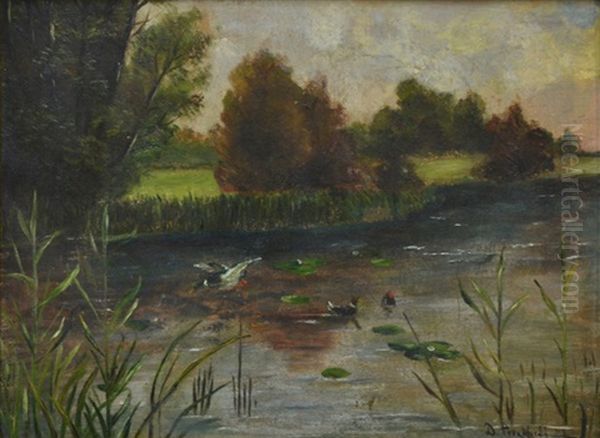 Summer Landscape - view 1