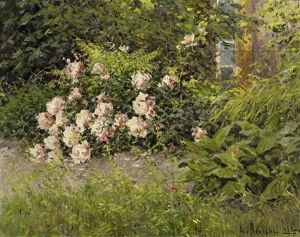 Bluhender Rosengarten In Bad Ems by Dimitri Von Prokofiev