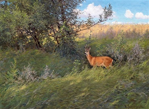 Rehbock In Einer Sommerlandschaft - view 1