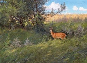 Rehbock In Einer Sommerlandschaft by Dimitri Von Prokofiev
