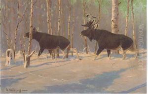 Moose In The Snow