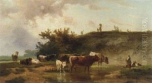 Ein Sommertag Auf Der Weide Ein Sommertag Auf Der Weide