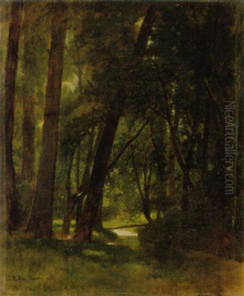 Waldlandschaft Mit Bach - view 1