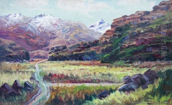 South Island Landscape - view 1
