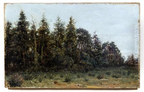 Wooded Landscape - view 1