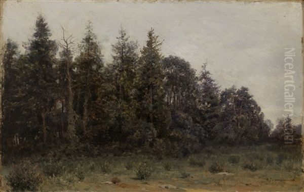 Forest Edge - view 1