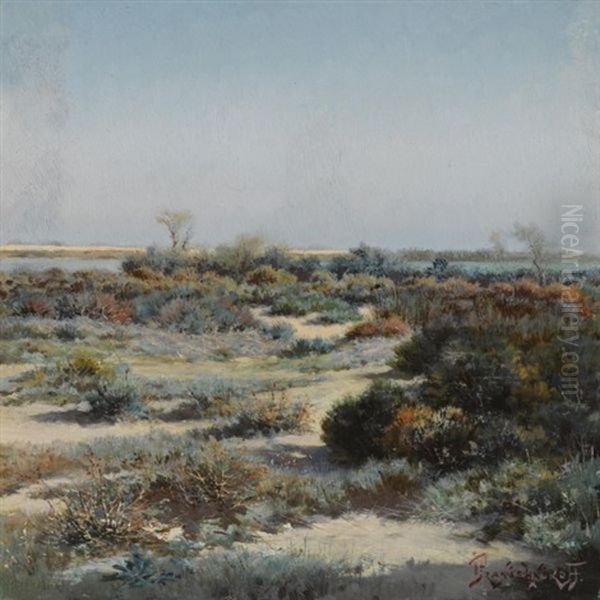 The Camargue - view 1