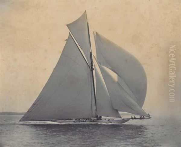 Columbia Racing; Columbia Vs. Shamrock; A New York Yacht Clubmembers Trial Race Prior To 1898 - view 1