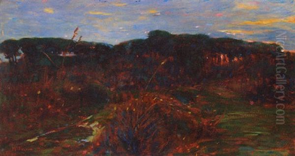 Sunset - view 1