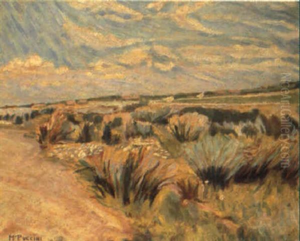Primavera - view 1