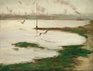 Landschaft Am Niederrhein Mit Mowen Im Flug