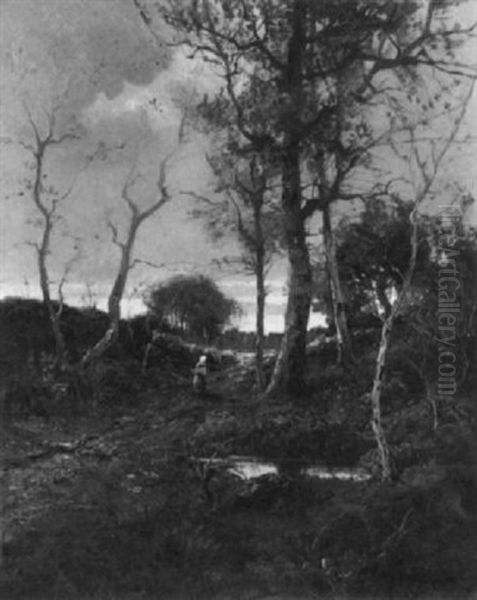 Bewaldete Landschaft - view 1
