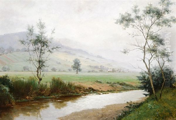 Nebel-flusslandschaft Im Weiten Tal (bei Baden-baden) - view 1