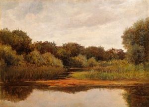 Rheinauengewasser