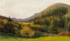 Landschaft Mit Obstbaum
