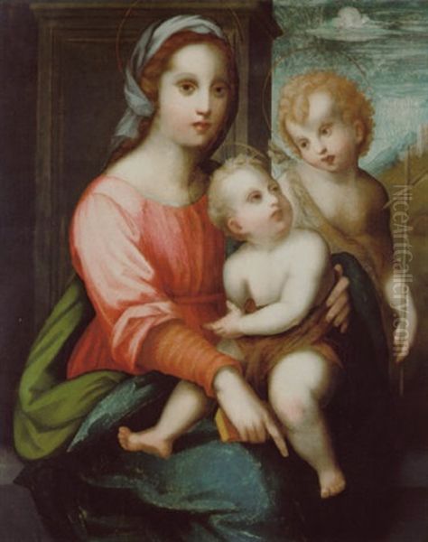 Madonna Con Bambino E San Giovanni - view 1