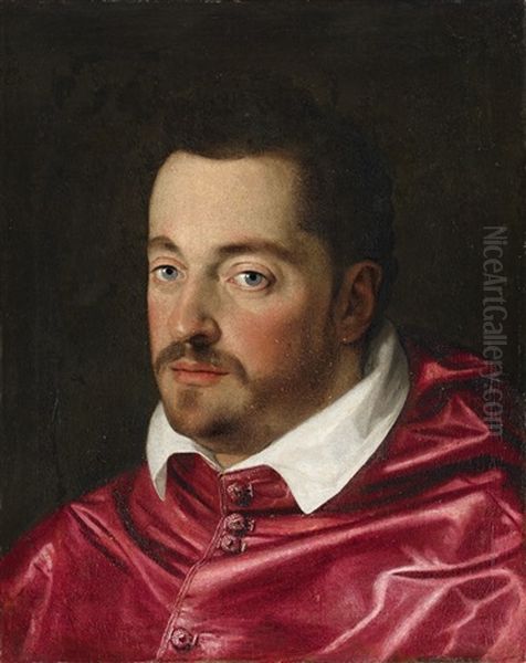 Portrait Of Ferdinando De Medici As Cardinal - view 1