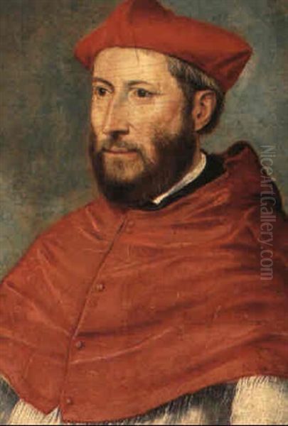 Portrait Of A Cardinal, Small Bust Length - view 1