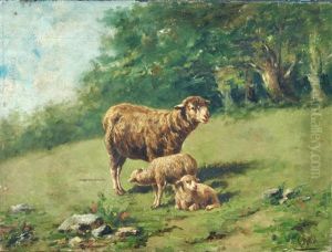 Pecore Al Pascolo by Ciro Punzo