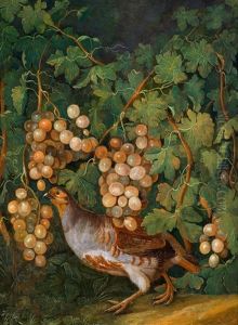 Ein Perlhuhn Unter Weinstocken by Franz Michael Sigmund von Purgau