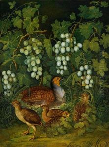 Ein Perlhuhn Mit Seinen Kuken Unter Weinstocken by Franz Michael Sigmund von Purgau