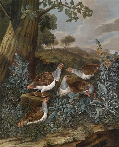 Perlhuhner In Einer Weiten Landschaft - view 1