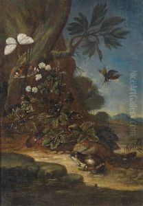 Waldesgrundstillleben Mit Einem Frosch, Einem Schmetterling Und Insekten by Franz Michael Sigmund von Purgau