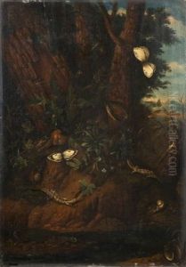 Sous-bois Anime De Lezards, Insectes Et Papillons by Franz Michael Sigmund von Purgau