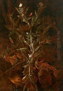 Bildnis Einer Distel Mit Einem Gimpel Und Einem Distelfink, Mit Schmetterlingen, Kohlweisling, Blauling Und Distelfalter Sowie Einer Schnirkelschnecke by Franz Michael Sigmund von Purgau