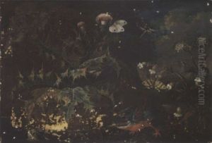 A Forest Floor With A Kingfisher And A Frog by Franz Michael Sigmund von Purgau