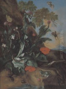 Waldesgrund Mit Distel, Frosch, Schnecke Und Insekten by Franz Michael Sigmund von Purgau