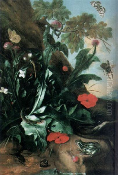Stilleben Mit Bluhenden Disteln Und Insekten In Abendlicher Landschaft - view 1
