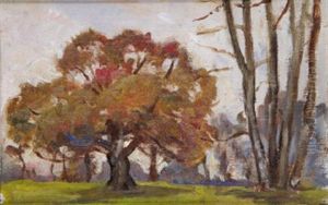 Trees At Mespil House