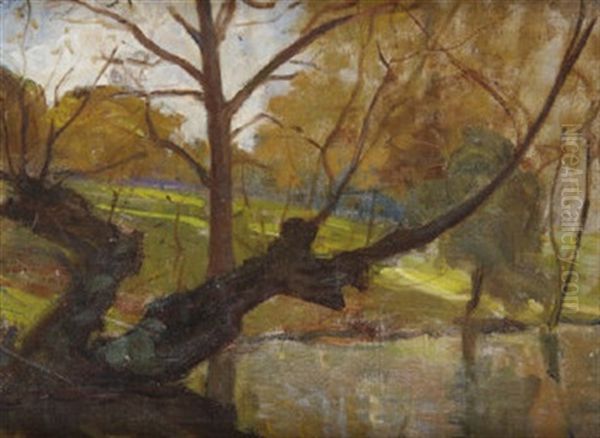 Trees On The Dodder - view 1