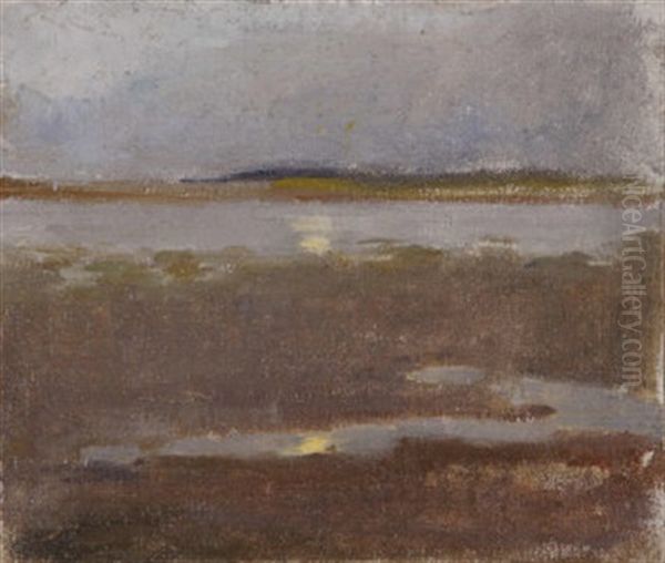 Estuary At Dusk - view 1