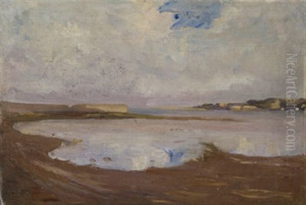 Extensive Coastal Landscape - view 1