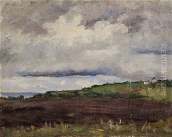 Extensive Landscape Near Coast - view 1