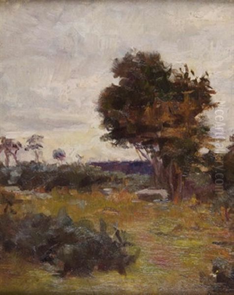 Landscape With Trees - view 1
