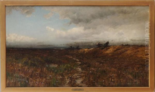 Marsh Lands - view 1
