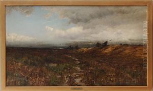 Marsh Lands by M. Deforest Bolmer