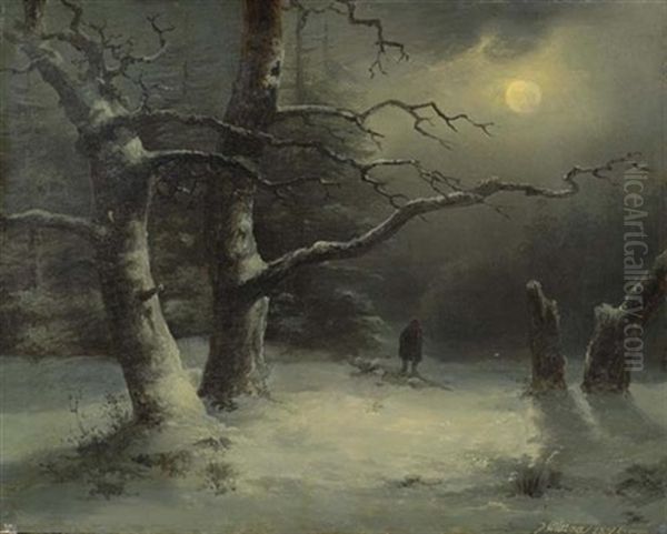 Winterlandschaft Bei Mondschein - view 1