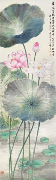Lotus At Dawn - view 1