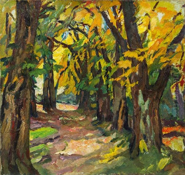 Herbstlicher Waldweg - view 1