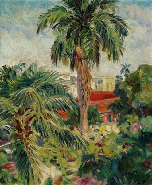 Jardin In Haliana, Brasilien - view 1