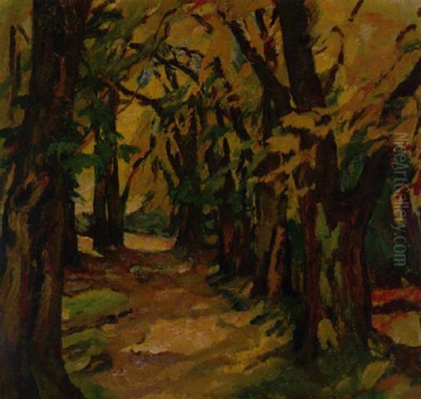 Herbstlicher Waldweg (im Park Von Schlos Seefeld) - view 1