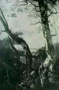 La Chasse Au Chevreuil