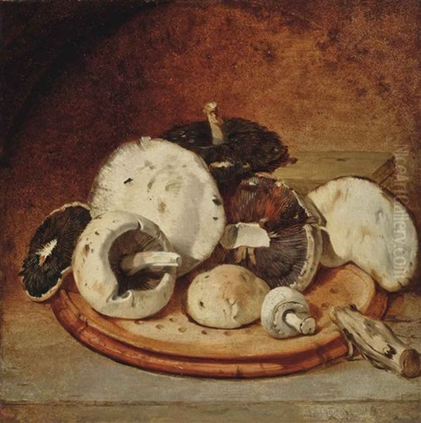 Mushrooms - view 1