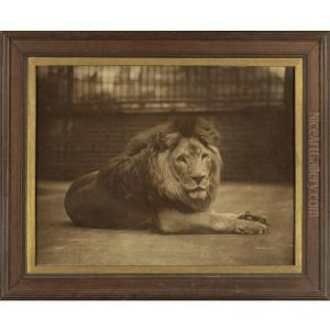 Majesty by Gambier Bolton