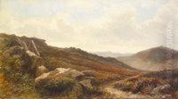 On The Moors, Howth, Co. Dublin - view 1